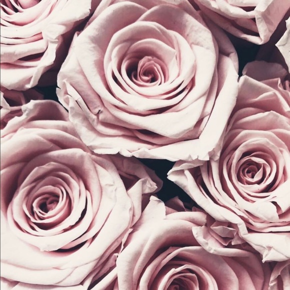 Meet your Posher, Lisseth - Picture 1 of 1